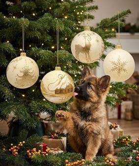 Glas julekugler til en magisk jul. Et strejf af elegance til din jul