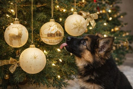 Glas julekugler til en magisk jul. Et strejf af elegance til din jul