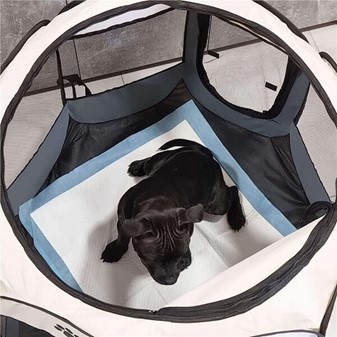 Sammenklappelig kravlegård. Til hunde, hvalpe, katte og smådyr