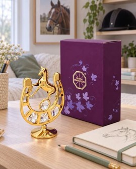Forgyldt hestesko med Swarovski-krystaller. For heldigvis