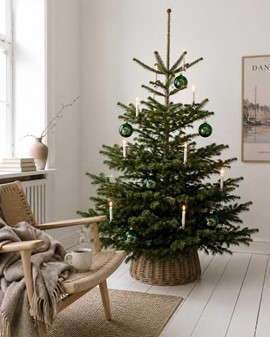 Juletræspynt glas. Gennemsigtig grøn julekugle med svampe, Ø 8 cm