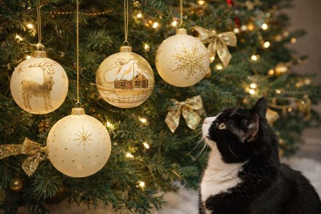 Glas julekugler til en magisk jul. Et strejf af elegance til din jul