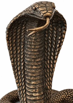 KONGEKOBRA SLANGE. Perfekt, realistisk dekorative figur til hjemmet