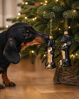En gravhund på et juletræ? Hvorfor ikke. Glasbrun gravhund fra Polen