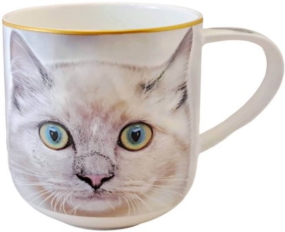 KRUS MED KATTE. Det perfekte krus til katte-entusiasten!