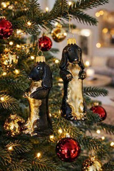 En gravhund på et juletræ? Hvorfor ikke. Glasbrun gravhund fra Polen