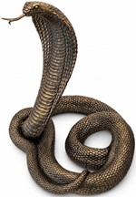 KONGEKOBRA SLANGE. Perfekt, realistisk dekorative figur til hjemmet